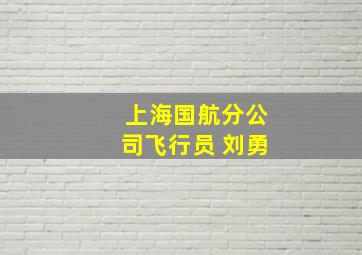 上海国航分公司飞行员 刘勇